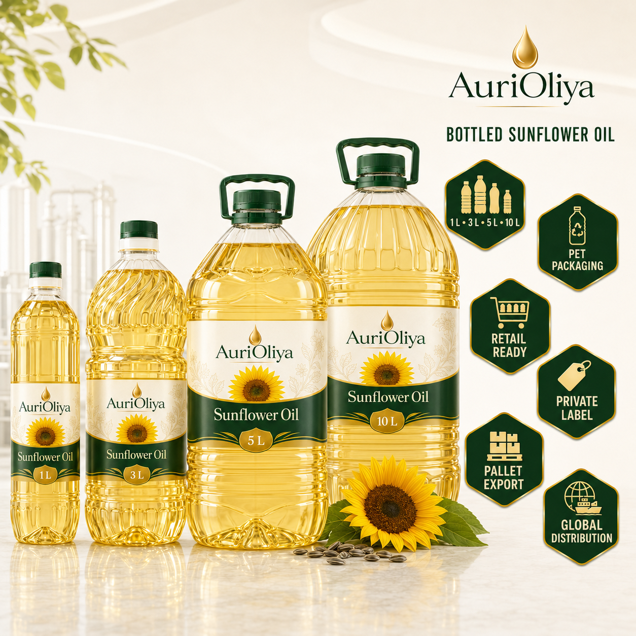 Various sizes of sunflower oil bottles