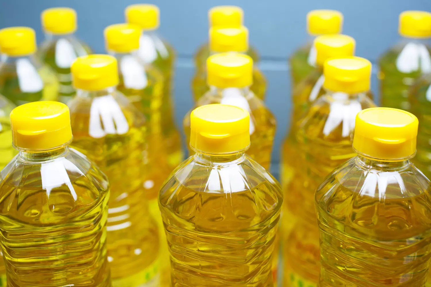 Bottled sunflower oil on the filling line